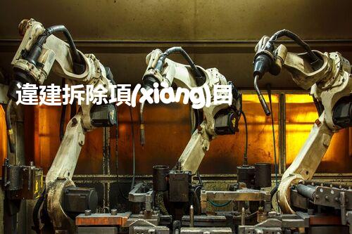 違建拆除項(xiàng)目：重塑都市風(fēng)貌，共建和諧家園